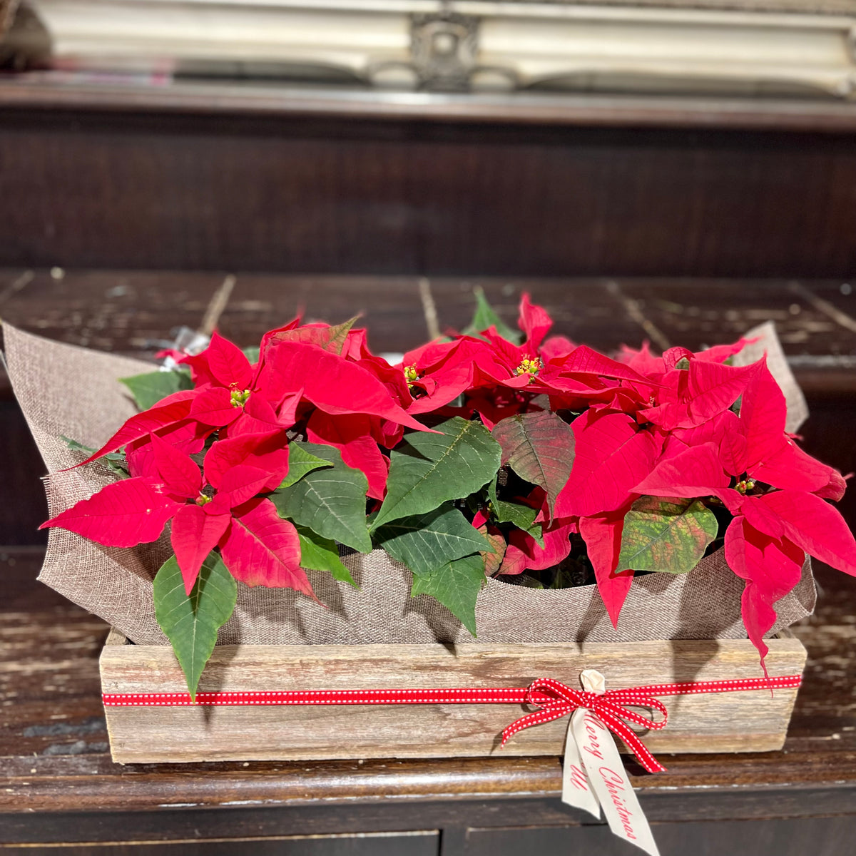 Christmas flowers and gifts with same day delivery Frankston Bayside