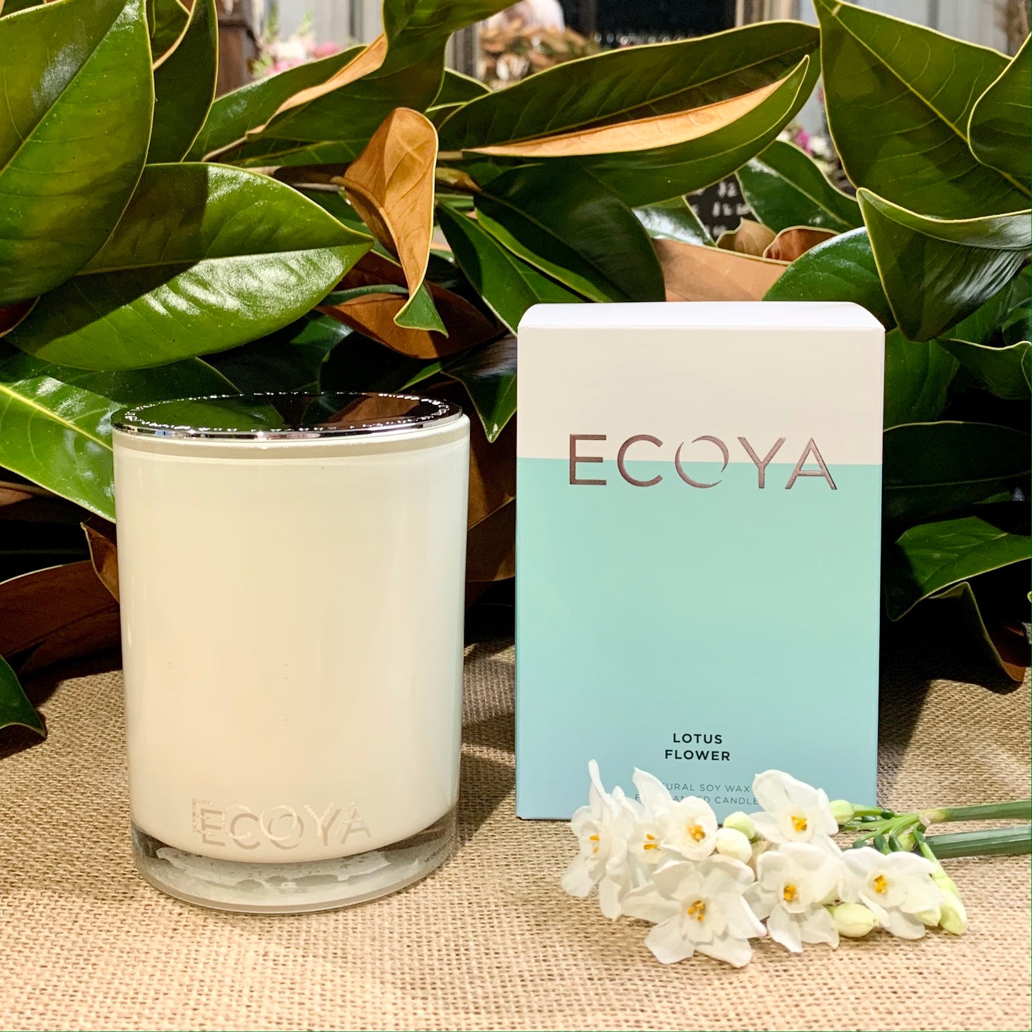 
                  
                    ECOYA 400g Soy Candle
                  
                