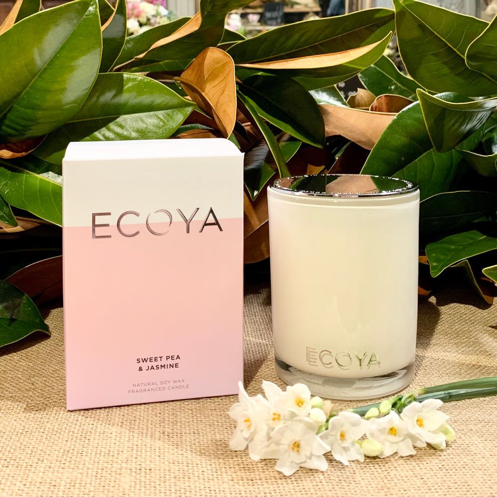 
                  
                    ECOYA 400g Soy Candle
                  
                